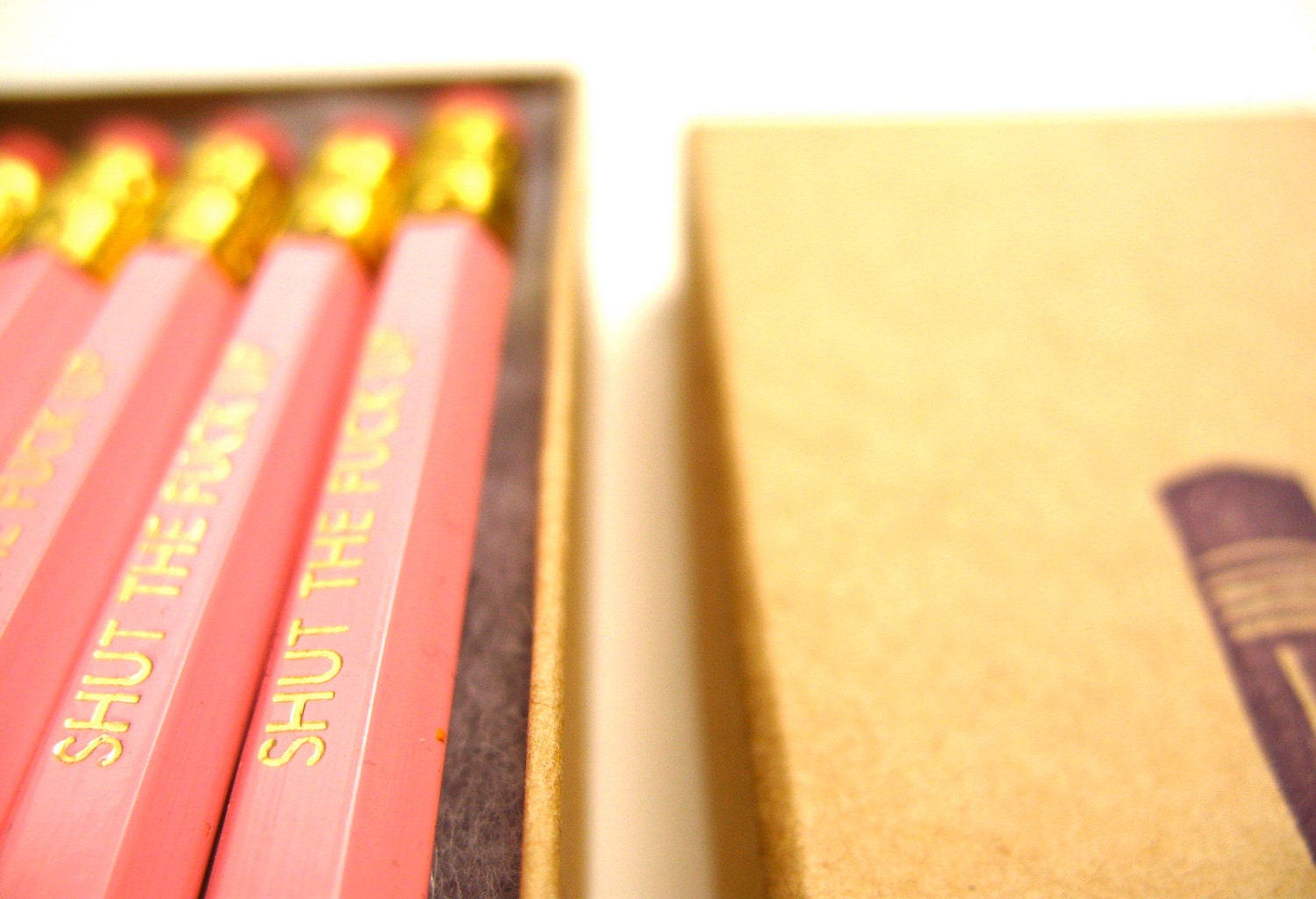 PENCILS (6) light pink - shut the fxck up - GRAPHITE HEX pencils w/ hand-stamped kraft pencil box