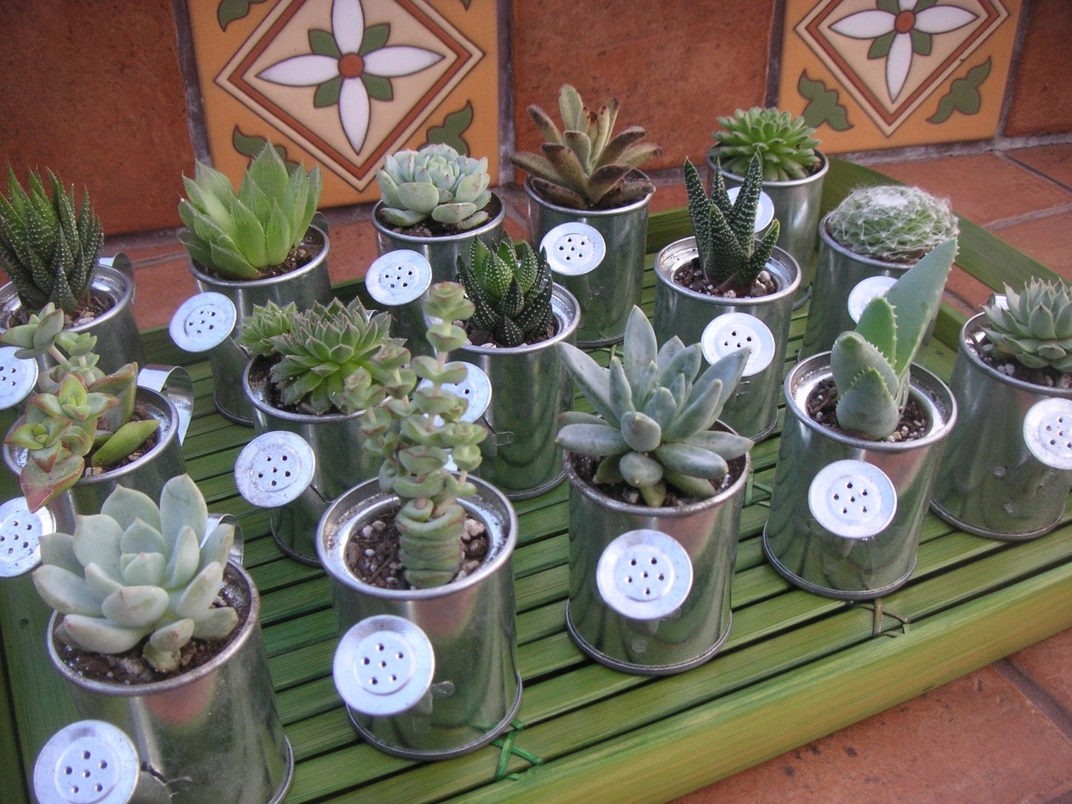 Reserved For Meredith, 75 Zinc Watering Can Favors With Succulents, Ship July 23