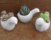 3 Succulent And White Ceramic Bird Favors, Wedding And Party Favors, Great Table Decor, Special Event