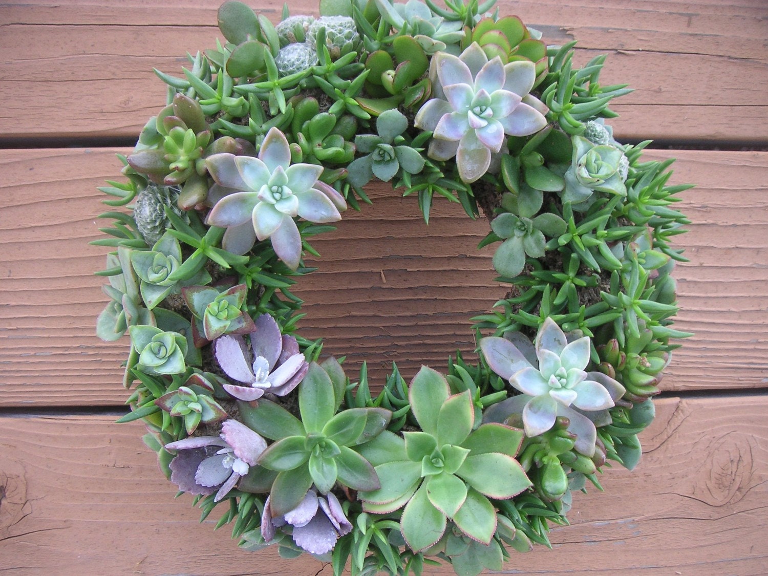 Beautiful Succulent Wreath, Centerpiece , Perfect For Weddings, Garden Parties, Centerpiece, Home Decor and More, Immediate Delivery
