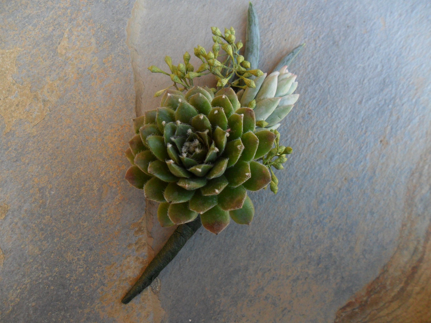 RESERVED For Tara Marie,  8 Boutonnieres For Your Wedding, Ship Date April 4th