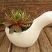 Succulent And White Ceramic Bird Favor Sample, Wedding And Party Favors, Special Event, Even Fun On Your Desk