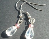 Crystal Teardrop Earrings