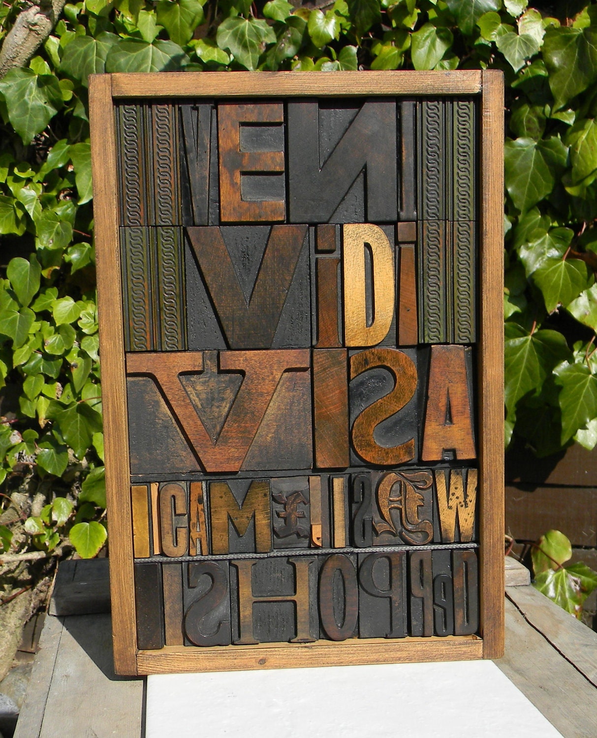 Collage of vintage wooden printing blocks Veni, Vidi, Visa presented in a letterpress case