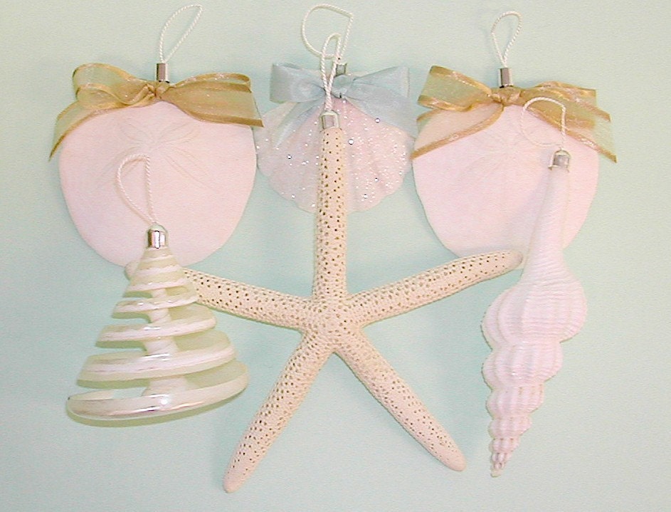 Beach Ornaments 6 Natural Starfish, Sand Dollar and Shell Ornaments