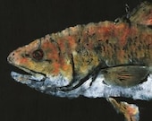 Redfish - "Red Hot" - Gyotaku Fish Rubbing - Limited Edition Print (28.5 x 11)
