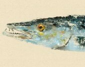 Barracuda - Gyotaku Fish Rubbing - Limited Edition Print (36.5 x 11)