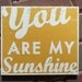 You Are My Sunshine "Fun Size" 9 x 10