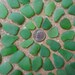 Genuine Beach Sea Glass Surf Tumbled Emerald Green Kelly rare Seaglass Huge 50 pcs A01
