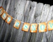 Winter Banner - Let it Snow