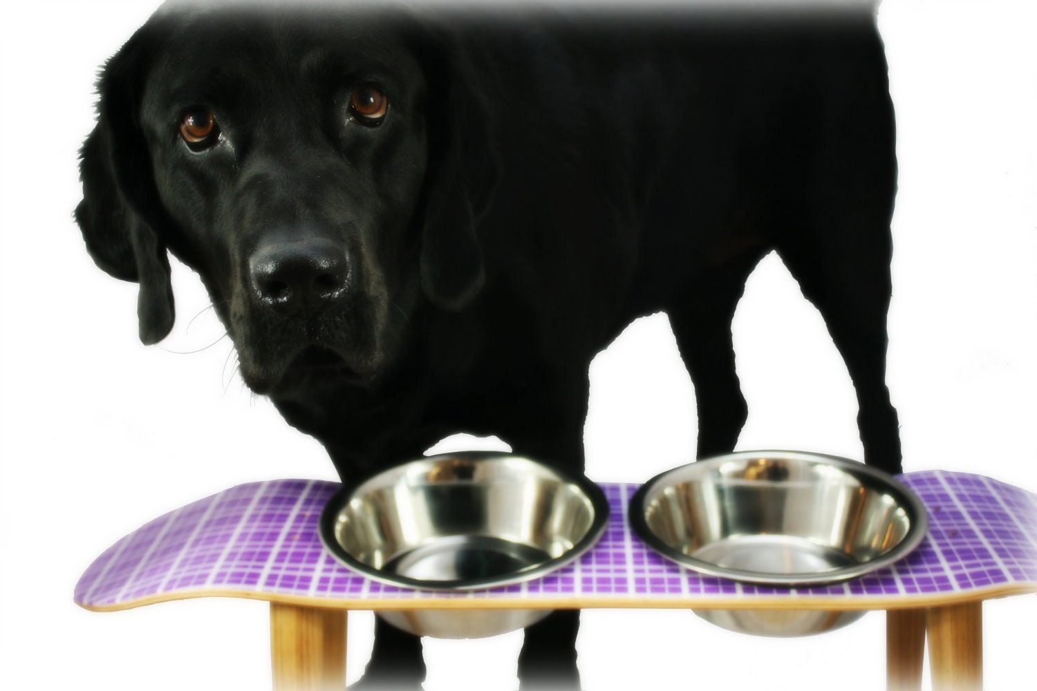 Dog Feeder - Raised Pet Feeder - Painted Skate Deck - Gift For Pet Lover - Dog - Cat - Gift Ideas - Purple Plaid Skate Pet Feeder