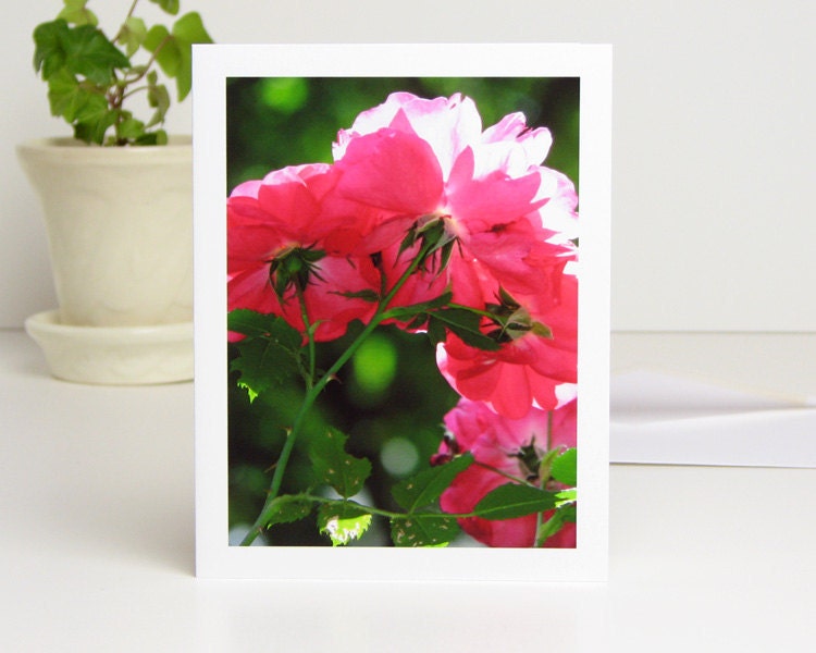 Flower Photo Note Card, Red Roses, Henry Kelsey Rose Photography Stationery, bright magenta, pink, green