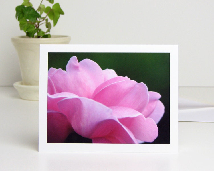 Flower Photo Note Card Pink 'Mary Rose' Petals, pastel pink floral photography blank notecard all occasion stationery