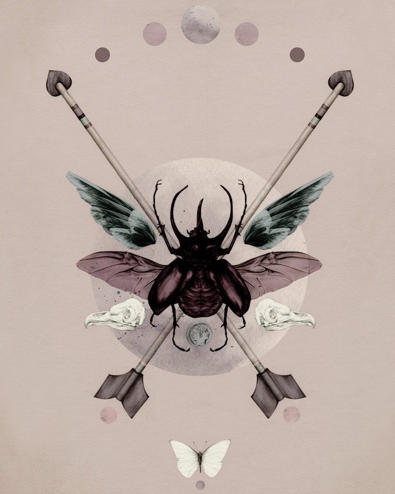 Wunderkammer 8x10