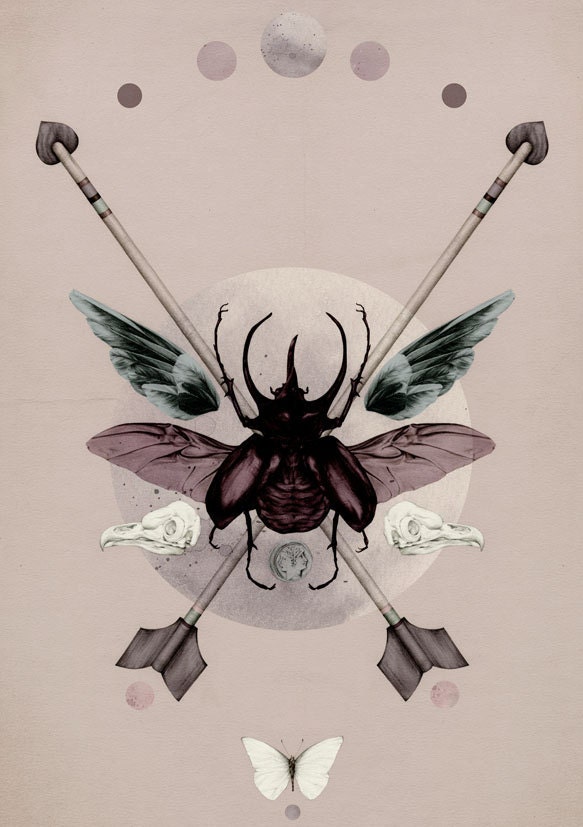 Wunderkammer 5x7
