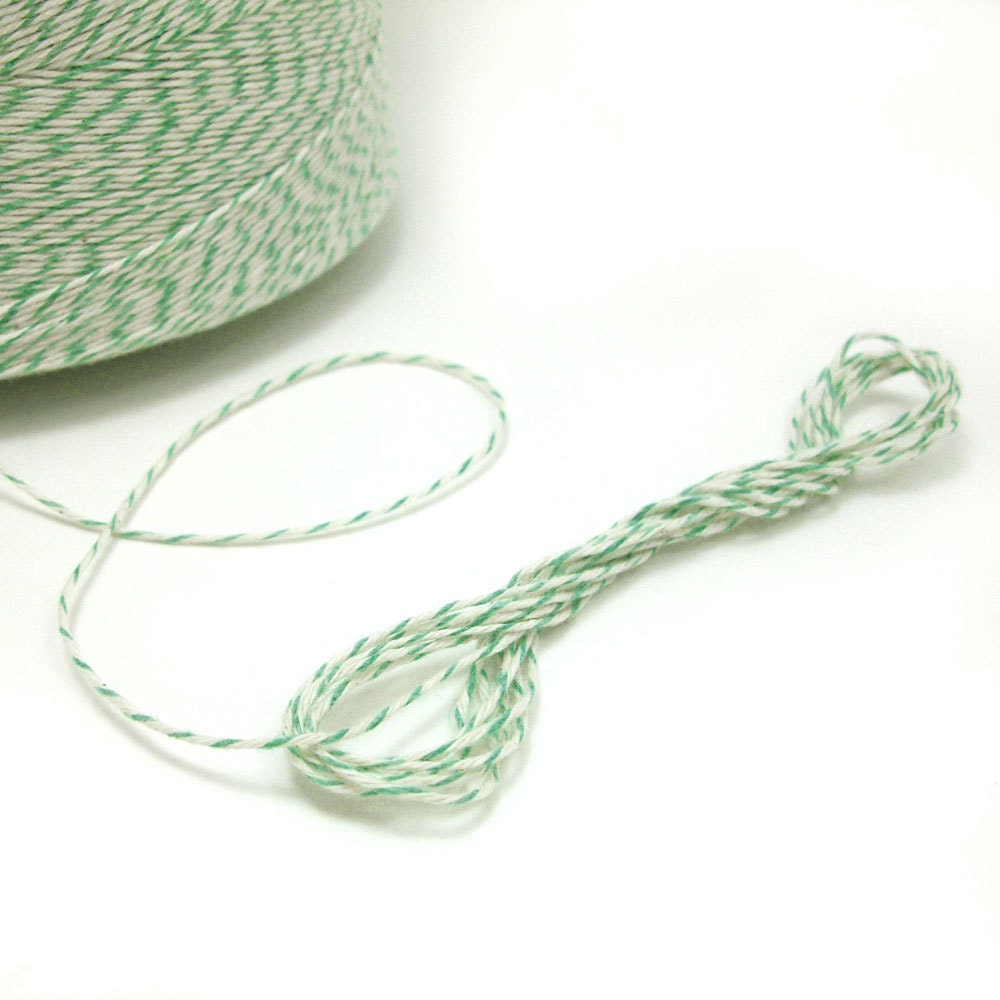 Mint Green & White Baker's Twine - 50 Yards