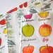 frutas y verduras - tea towel - linen-cotton - kitchen towel