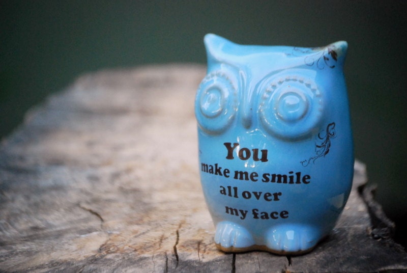 Blue owl decor  - make me smile on robins egg