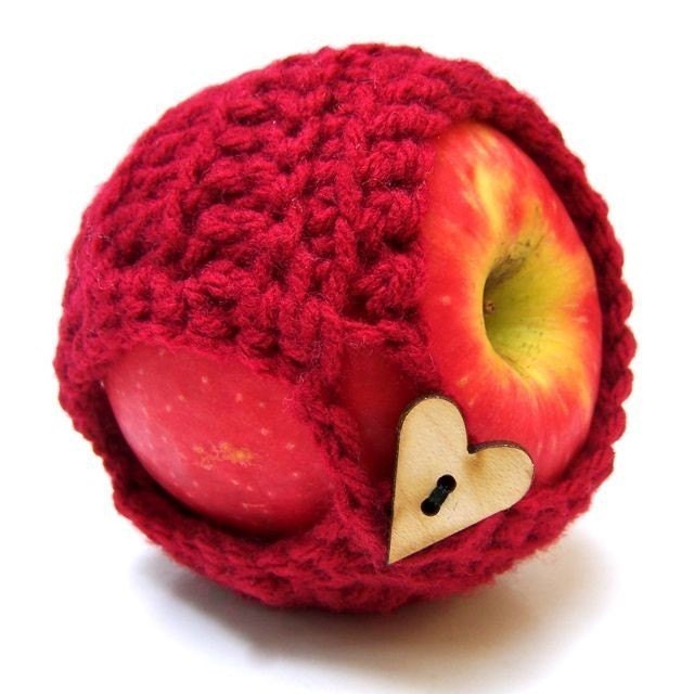 Bite Me Apple Jacket Cozy handmade