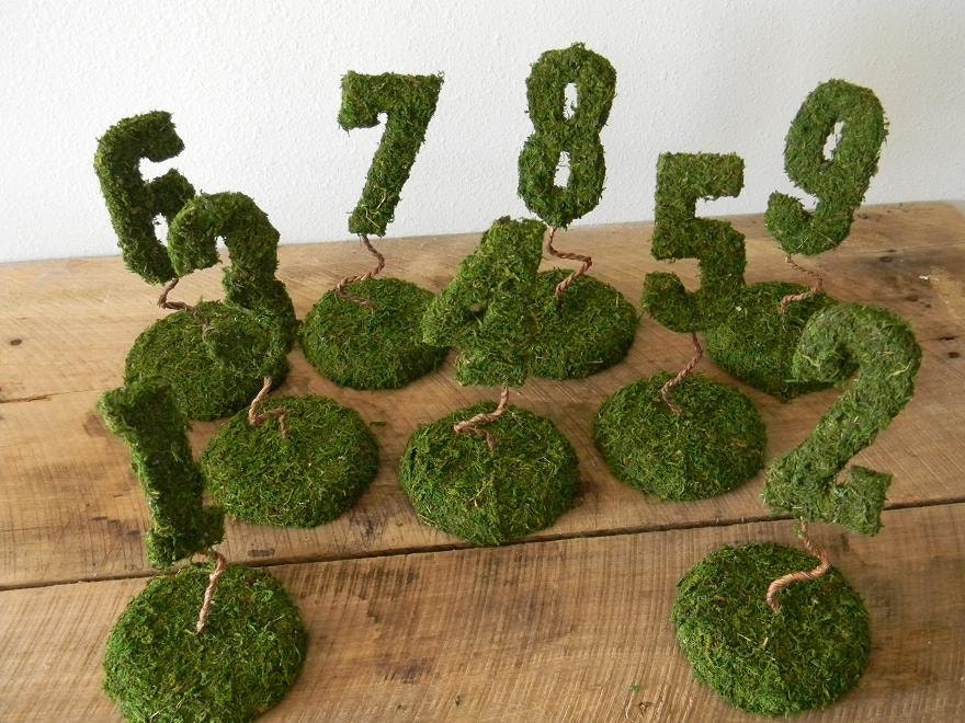 Garden Collection - Set of 9 Moss Covered Wedding Reception Table Numbers on Base (SET 1 - 9)