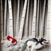 Little Red Riding Hood - Giclee Print of Paper Illustration 8inx10in