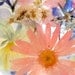 Suncatcher with Pressed Flowers- Peach Daisy, Pink Larkspur, Blue Lobelia, Pansies, Queen Anne's Lace, Bridal Veil, Heather
