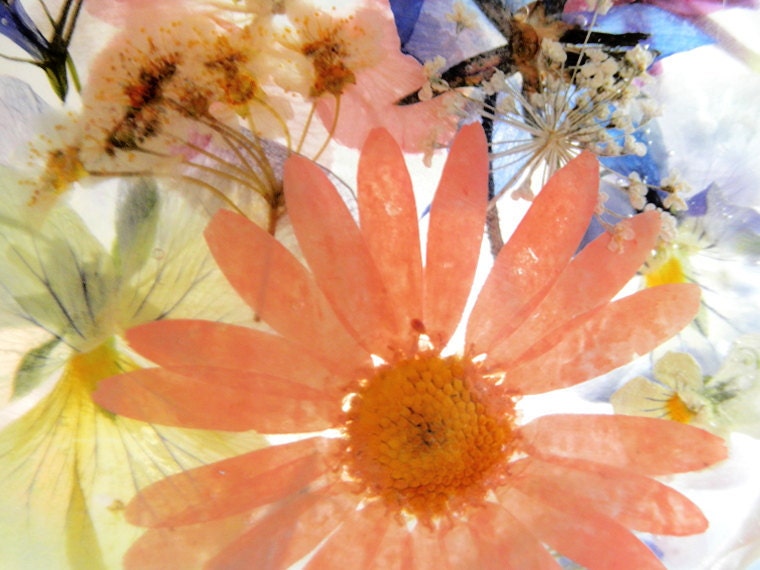 Suncatcher with Pressed Flowers- Peach Daisy, Pink Larkspur, Blue Lobelia, Pansies, Queen Anne's Lace, Bridal Veil, Heather