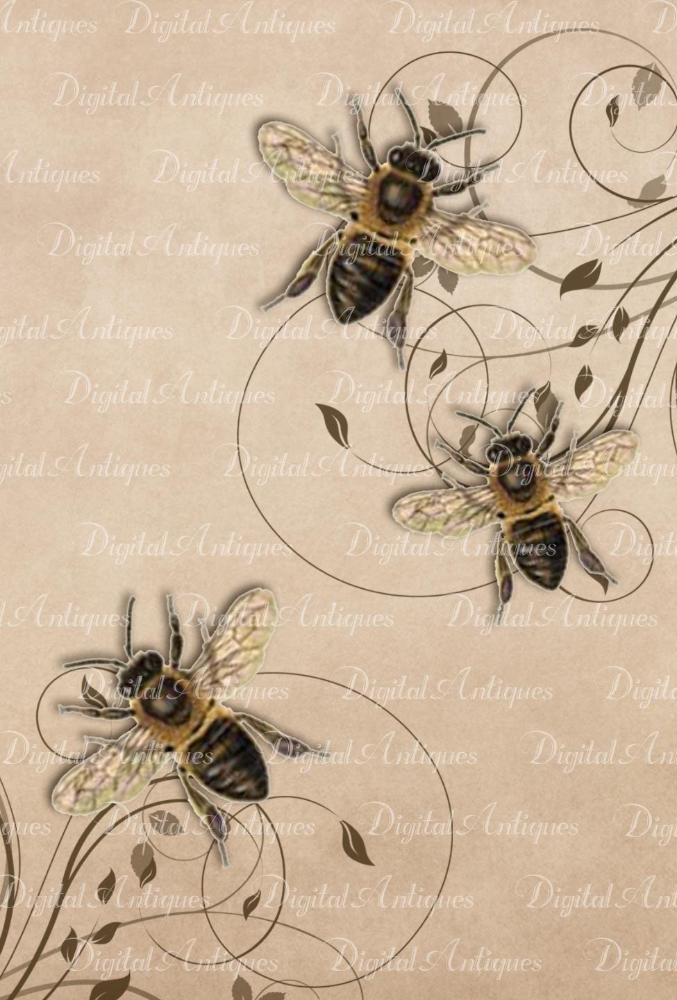 Vintage Bees Printable Images Digital Download