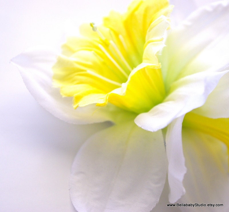 Double White and Yellow Daffodil Hair Clip