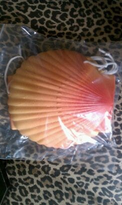 ariel seashell