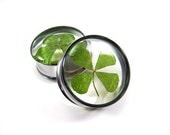 Real 4 Leaf Clover Embedded Plugs gauges - 1 inch, 1 1/8", 1 1/4", 1 3/8", 1 1/2"