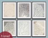 Underwater Sea Coral Collection (Series D) -Set of 6 - 11x14 Prints - Featured in Assorted Colors