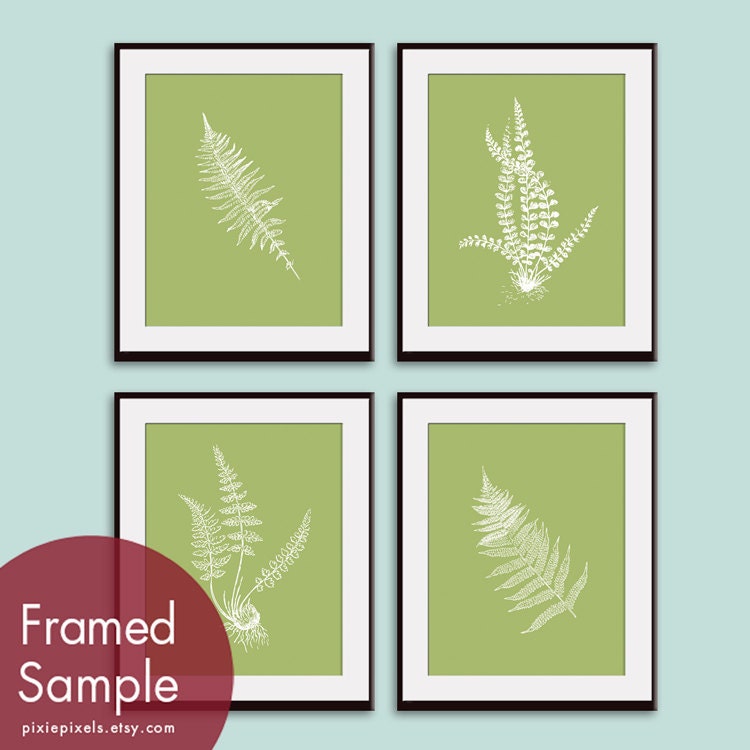 Ferns Garden Botanical Prints (Series D) Set of 4 - 11x14 Art Prints (Featured in Basil and White)