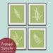 Ferns Garden Botanical Prints (Series D) Set of 4 - 11x14 Art Prints (Featured in Basil and White)