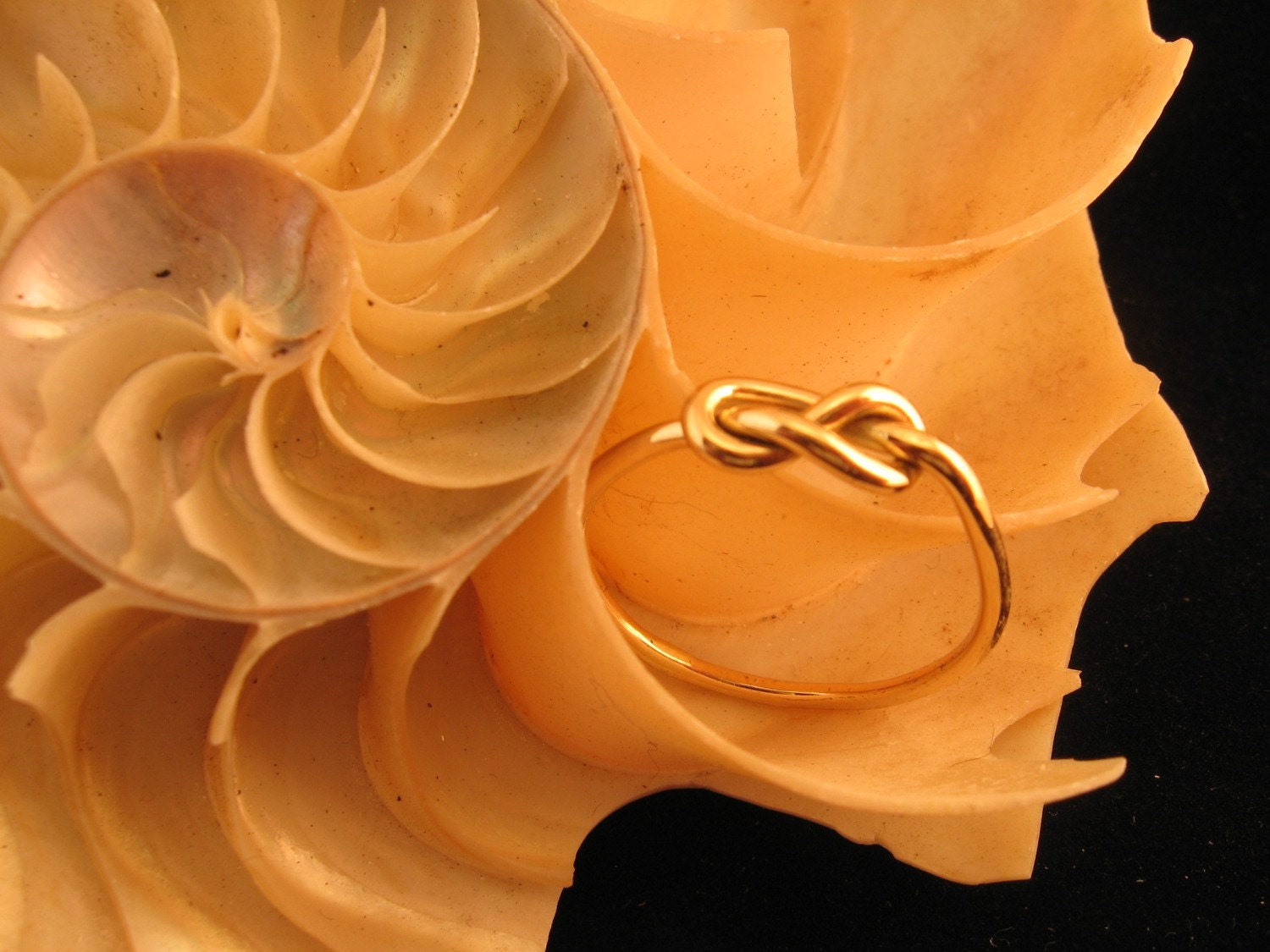 Infinity Knot Ring 14 kt Gold Filled