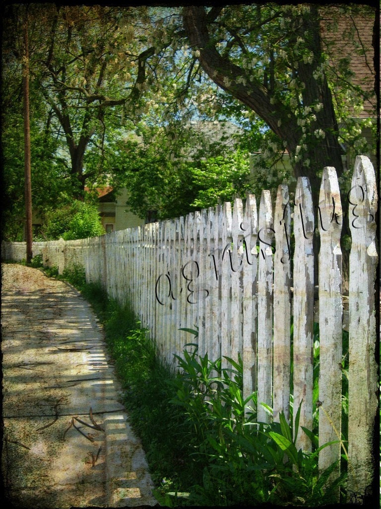 White picket fence, a 5 x 7 fine art photograph