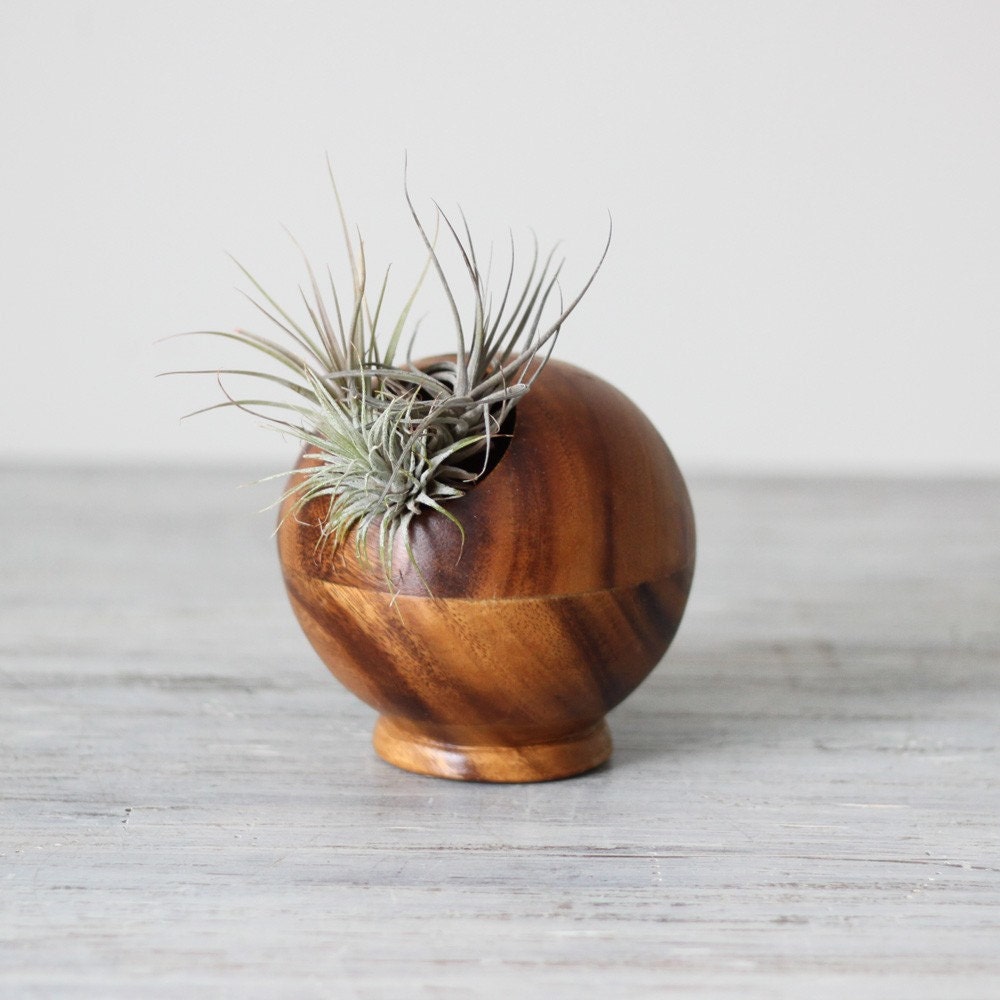 modern wood sphere