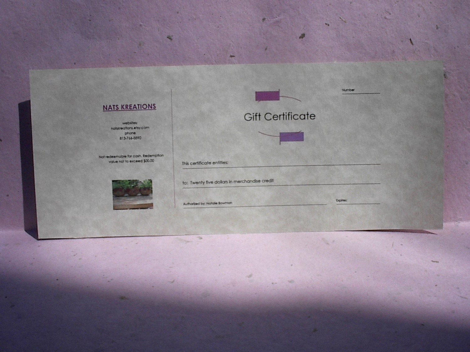 Gift Certificate Christmas Birthdays Painted Gourds
