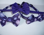 Bowtie Collar for Cats with Breakaway Buckle