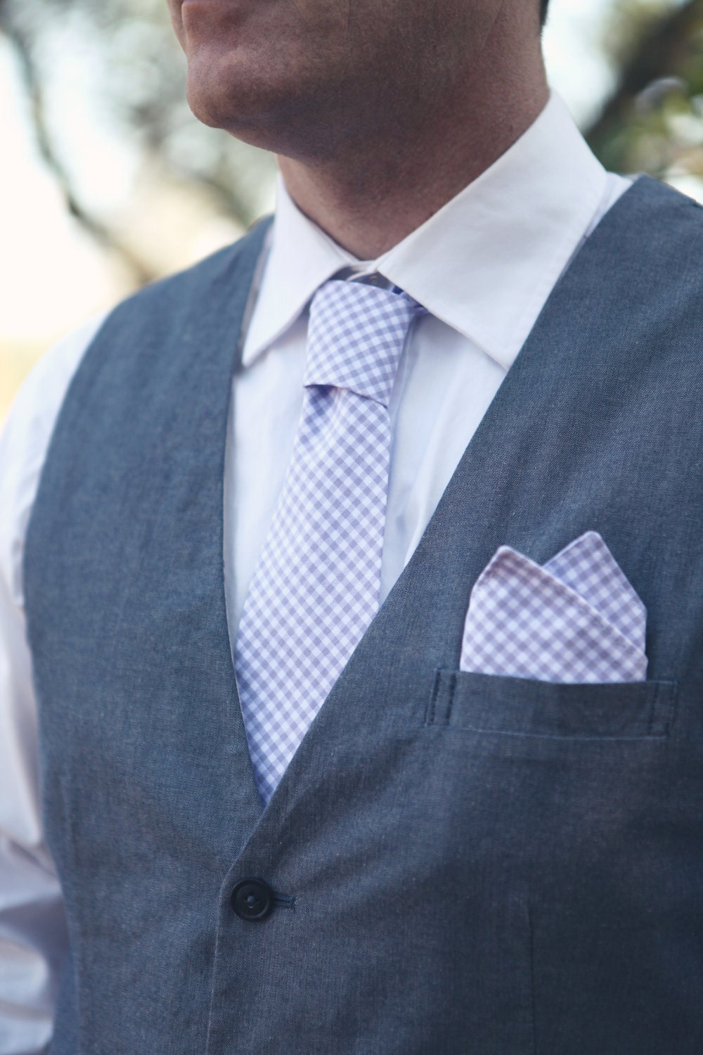 The Beau- men's gingham collection neckties- choose your favorite shade