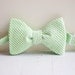 The Beau- men's green striped seersucker freestyle bow tie- lots of available colors