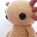 Axolotl - Amigurumi Crochet Pattern