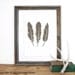 Feathers Screenprint 12 x 19 in Pick Your Color