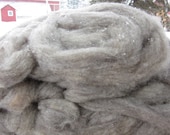 CVM-Romeldale Steel Gray Roving with 20% Kid Mohair