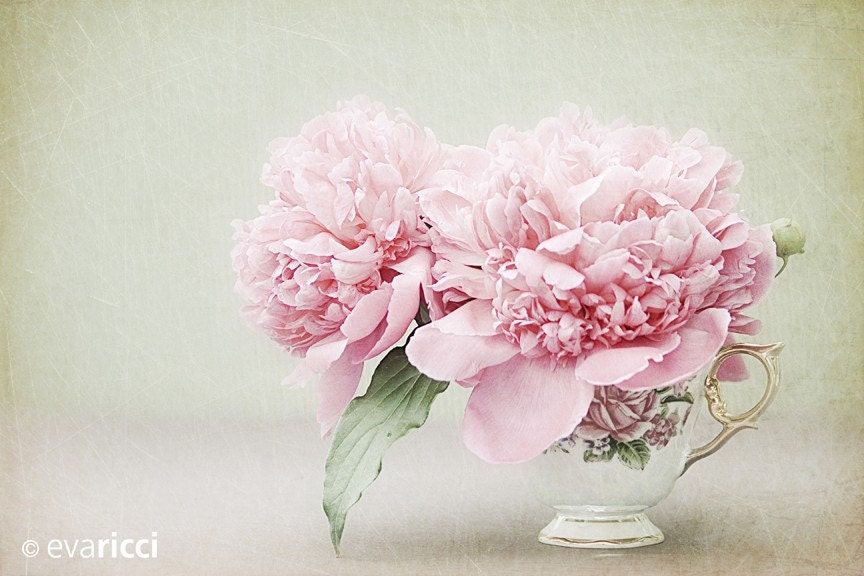 Peony Tea