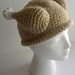 CROCHET PATTERN Crocheted Turkey Dinner Hat w/permission to sell finished items