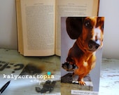 Dachshund Low Five Print Card - Howdydo Paw Shake Flat Card