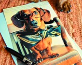 Dachshund Wiener Dog Card Graduation Congratulations Art Print Single - hooray huzzah yip yip hooray