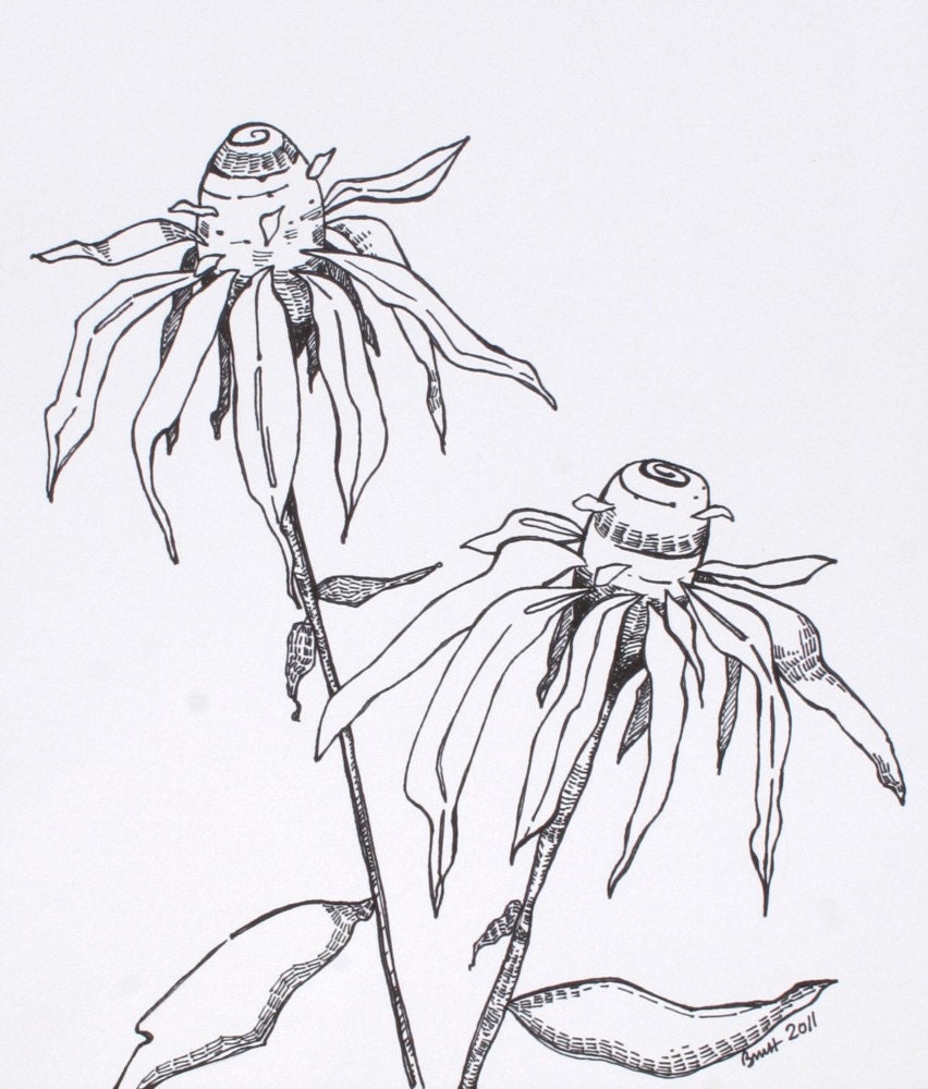 Cone Flowers . Original Pen and Ink Drawing . Flower Art . 9 x 10
