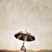 singing in the rain child with umbrella 5x5 fine art photo nursery decor